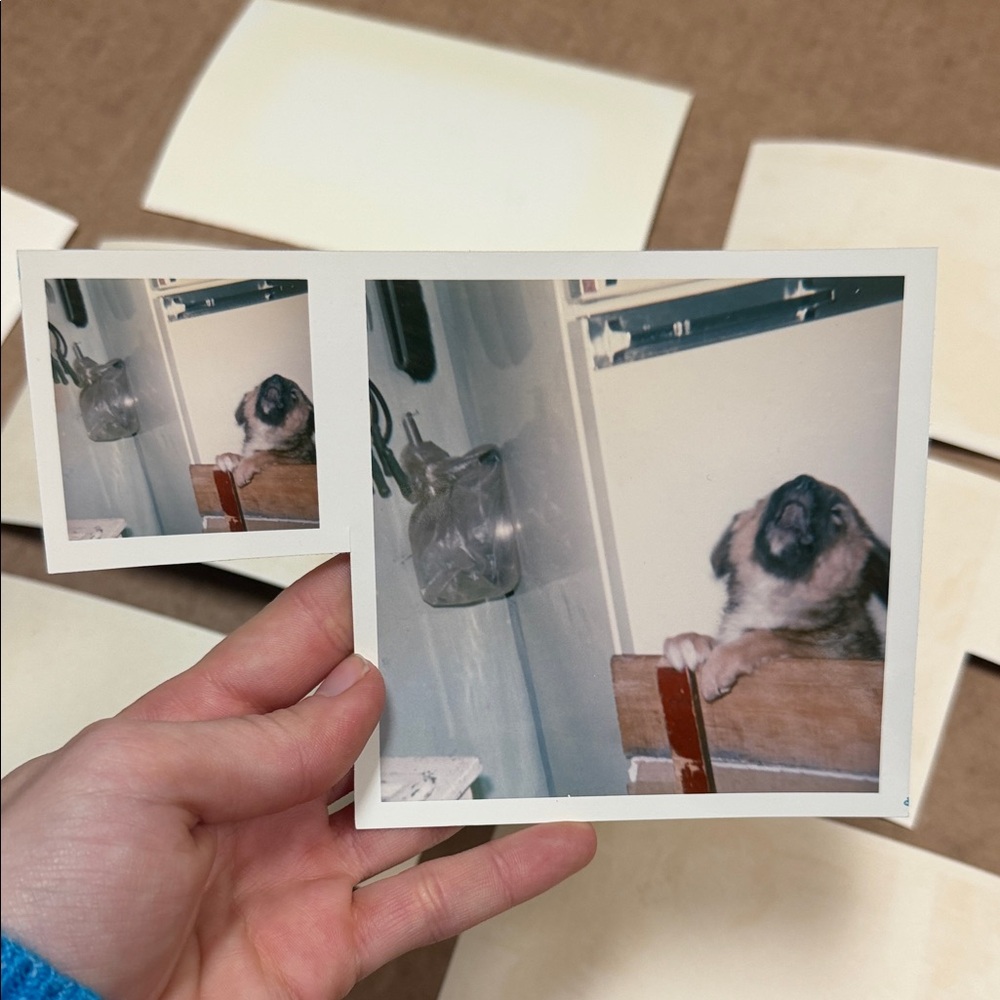 Vintage Photo Collection - Picture 10 of 11